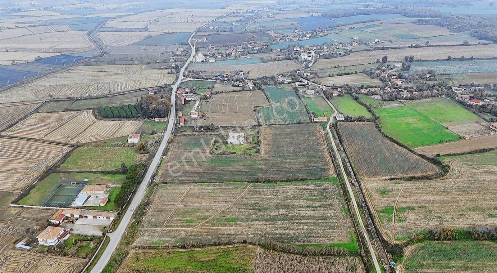 Bafra Vıp Gayrımenkul'den Balıklar Mah. 38,082 M2 Satılık Tarla! - Görsel 2