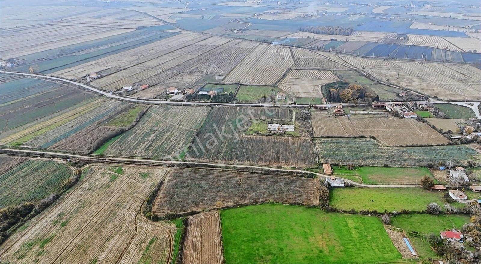 Bafra Vıp Gayrımenkul'den Balıklar Mah. 38,082 M2 Satılık Tarla! - Görsel 9