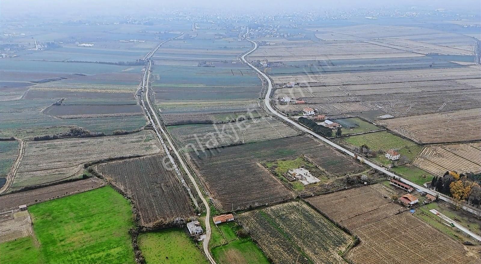 Bafra Vıp Gayrımenkul'den Balıklar Mah. 38,082 M2 Satılık Tarla! - Görsel 11