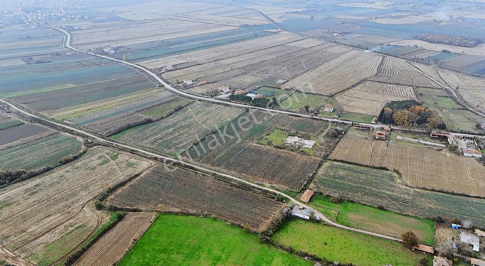 Bafra Vıp Gayrımenkul'den Balıklar Mah. 38,082 M2 Satılık Tarla! - Görsel 8