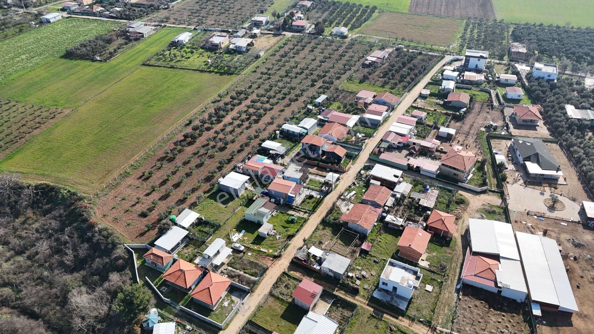 Oğlananasında 100 M2 Arsa İçinde 2 Oda Natamam Bahçeli Ev Menderes İzmir - Görsel 32