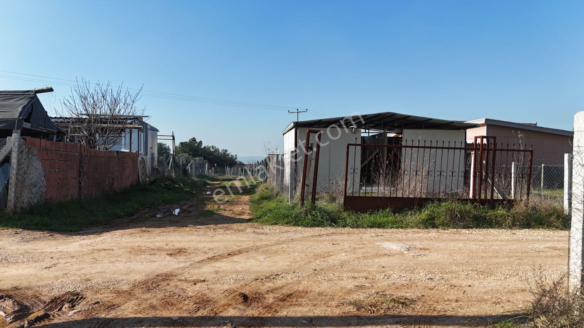 Oğlananasında 100 M2 Arsa İçinde 2 Oda Natamam Bahçeli Ev Menderes İzmir - Görsel 13