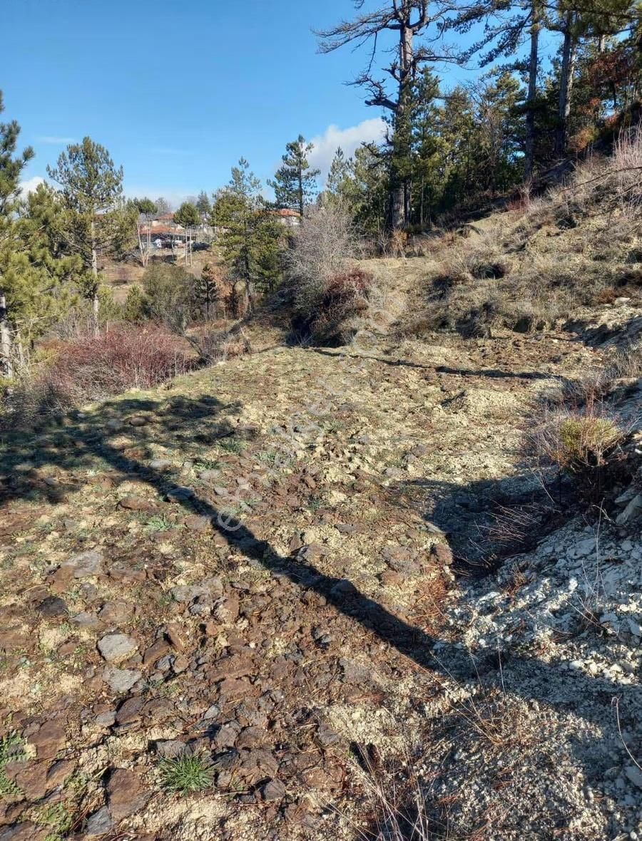 Burdur- Gölhisar Satılık 1.300 M2 Satılık Tarla!!! - Görsel 3