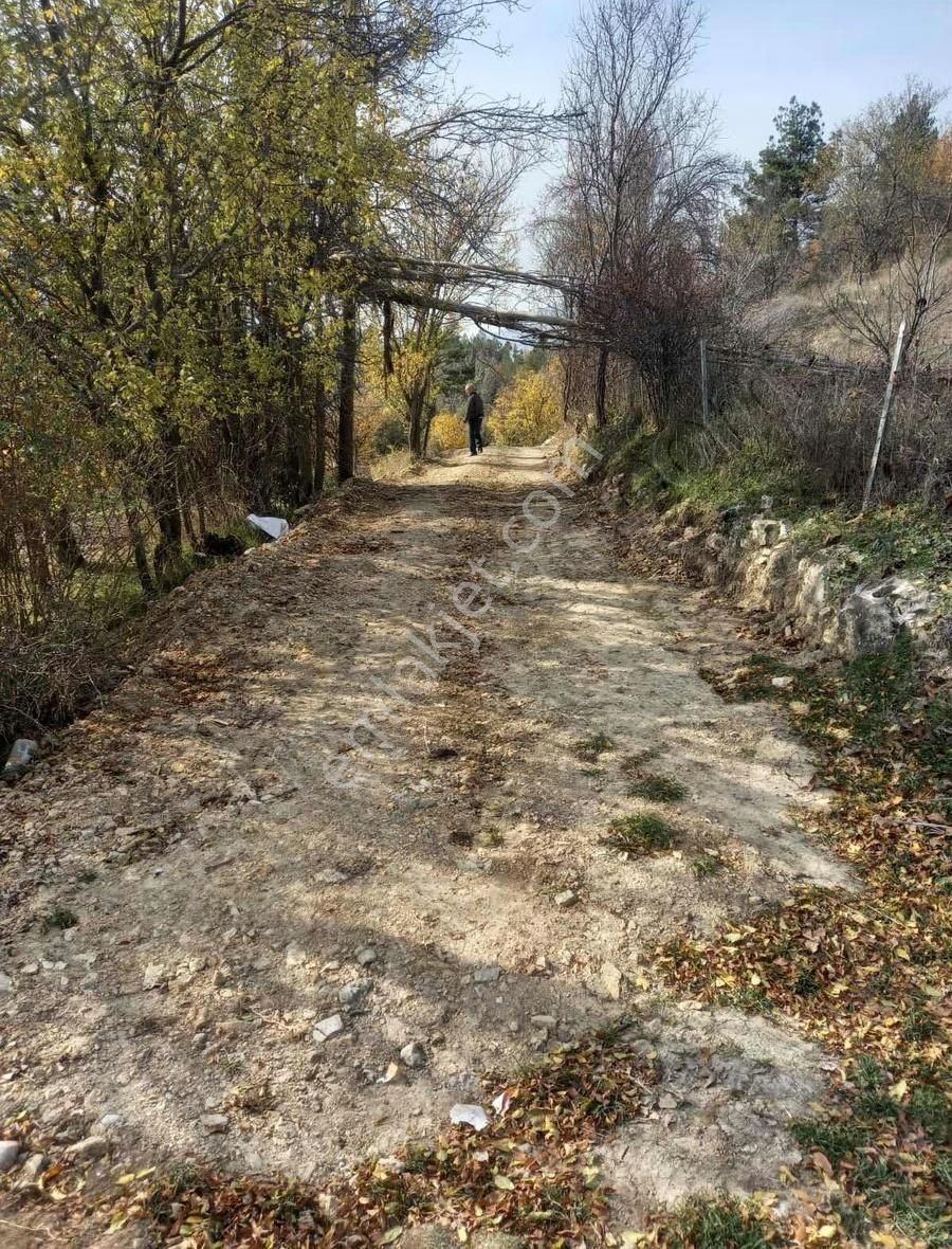 Burdur- Gölhisar Satılık 1.300 M2 Satılık Tarla!!! - Görsel 10