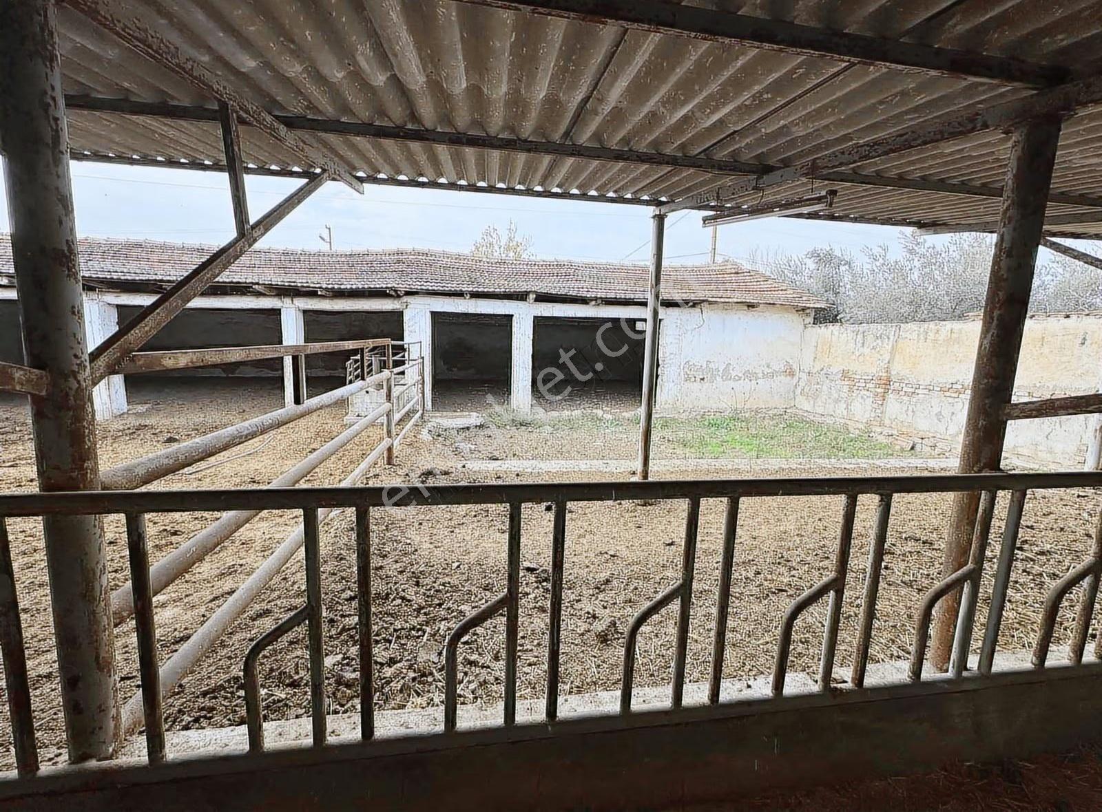 Çiftlik Evi Büyük Baş Ve Küçük Baş Yetiştirilmeye Uygun..... - Görsel 12
