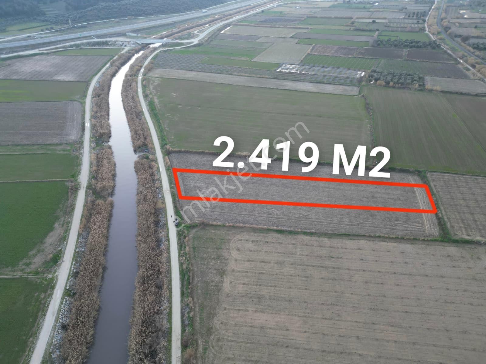 Umut Emlaktan Buharkent Merkezde 2.419 M2 Tarla Satılıktır - Görsel 2