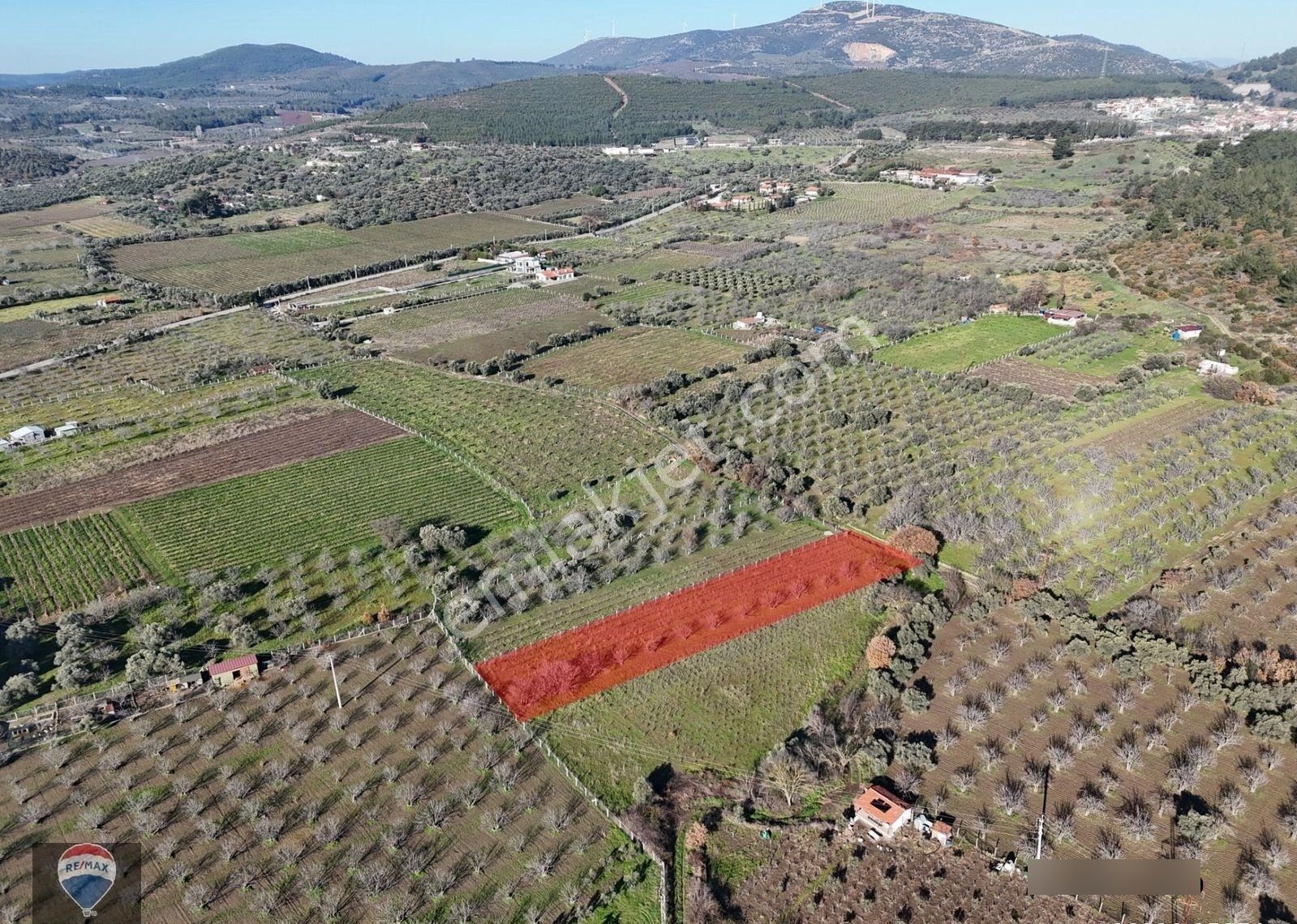 Burgaz'da Doğa İle İçiçe Yatırımlık Üzüm & İncir Bahçesi - Görsel 3