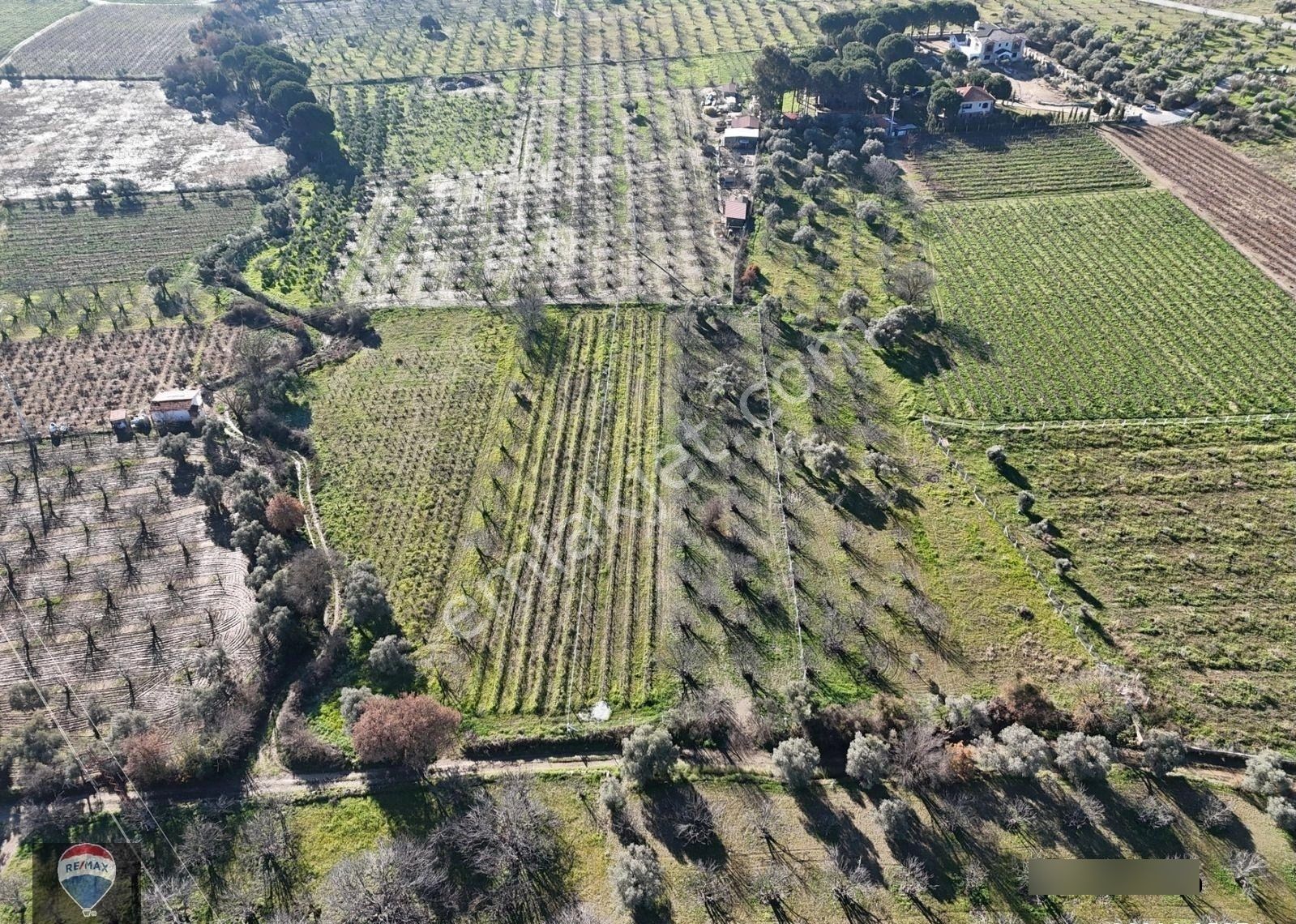 Burgaz'da Doğa İle İçiçe Yatırımlık Üzüm & İncir Bahçesi - Görsel 15