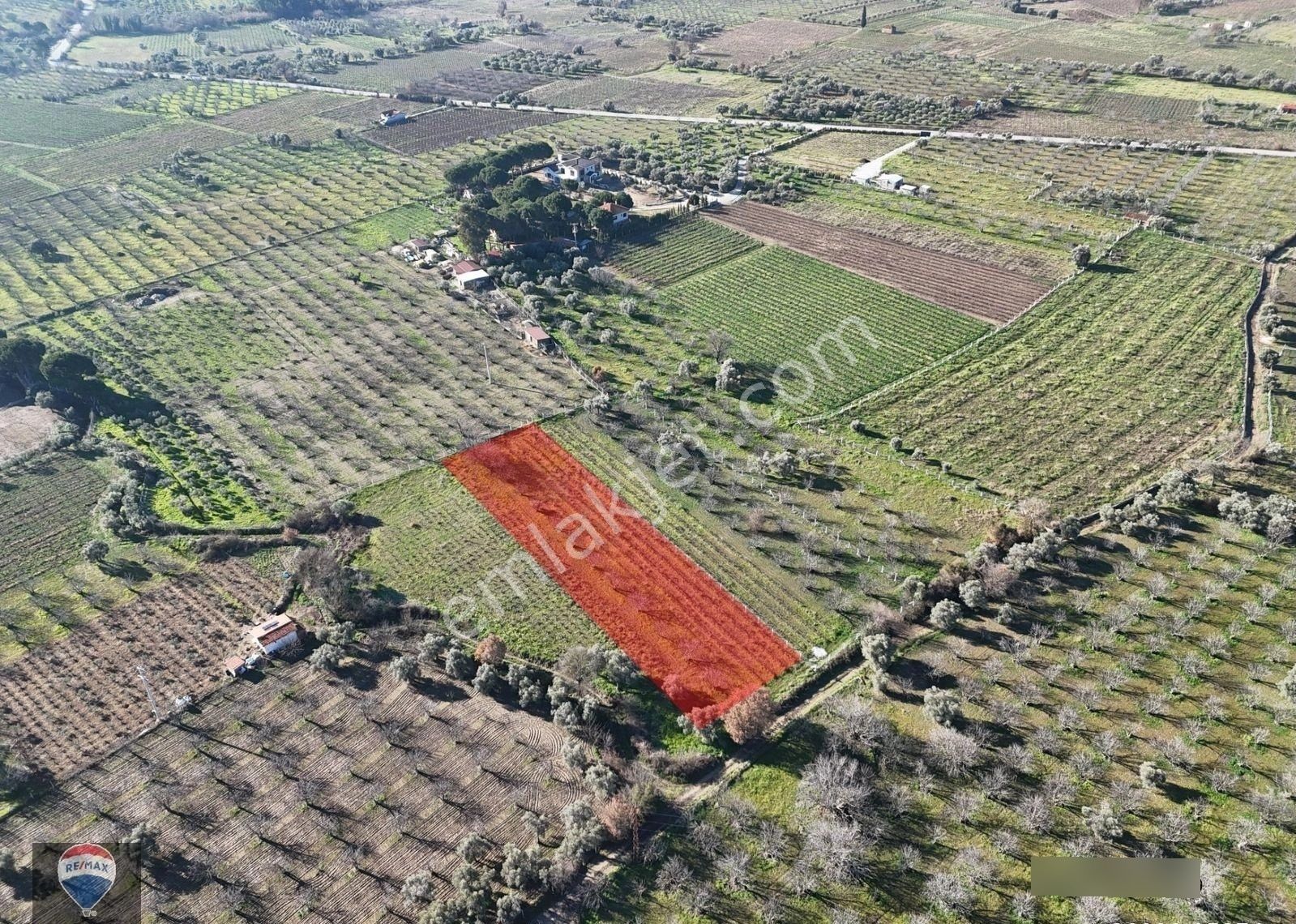 Burgaz'da Doğa İle İçiçe Yatırımlık Üzüm & İncir Bahçesi - Görsel 14