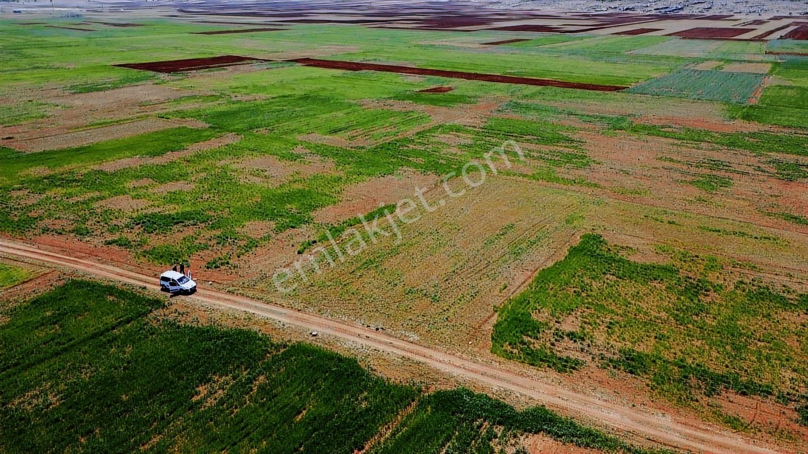İmecik Merkeze Yakın Kadastro Yol Cepheli - Görsel 14