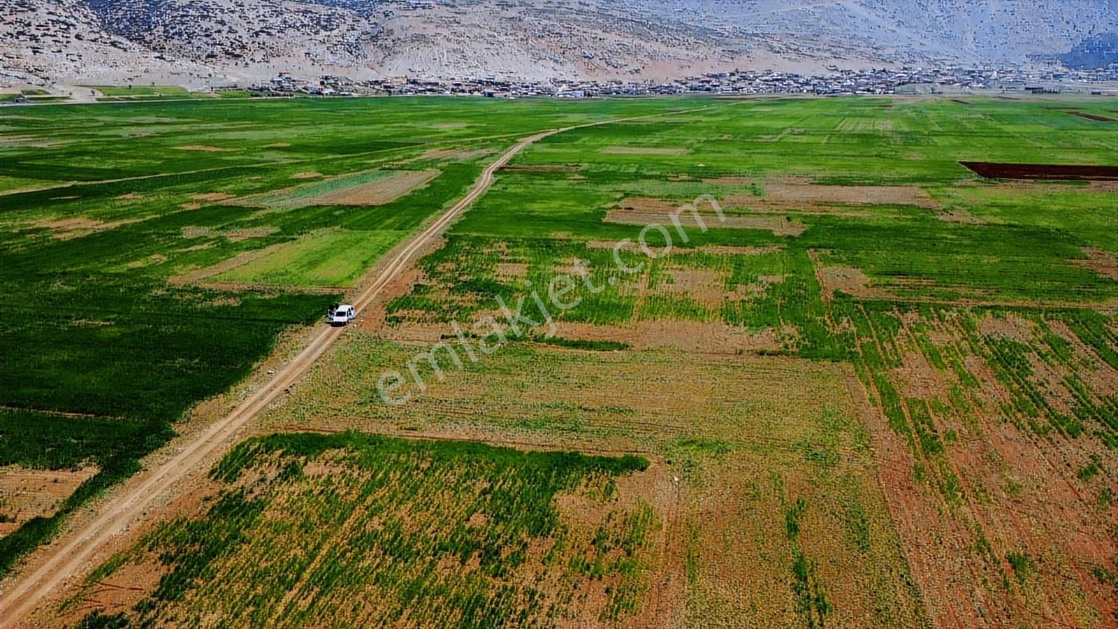 İmecik Merkeze Yakın Kadastro Yol Cepheli - Görsel 12