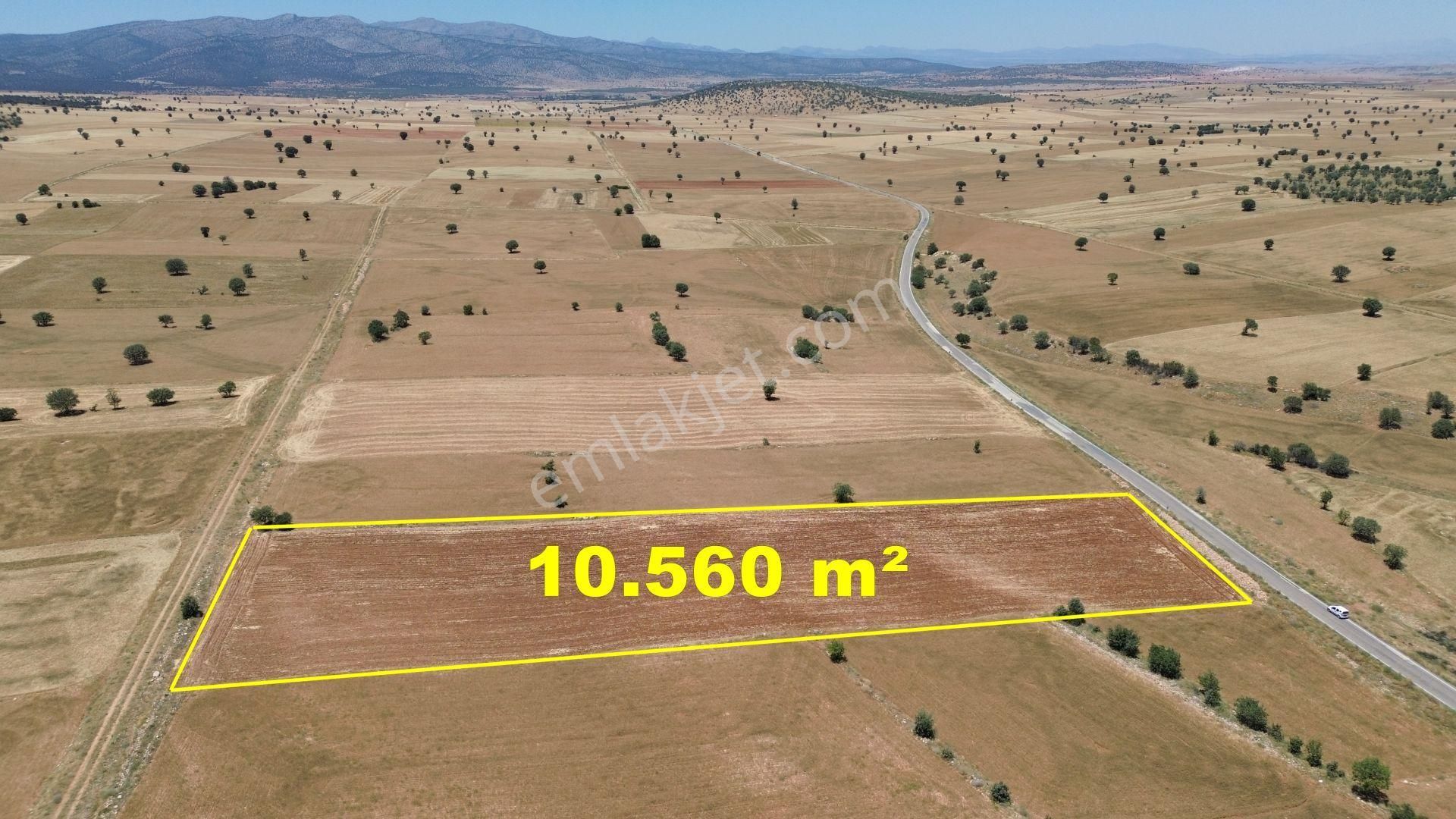 Çumra Apasaraycık Da 10.560 M2 Müstakil Tapulu Tarla - Görsel 6