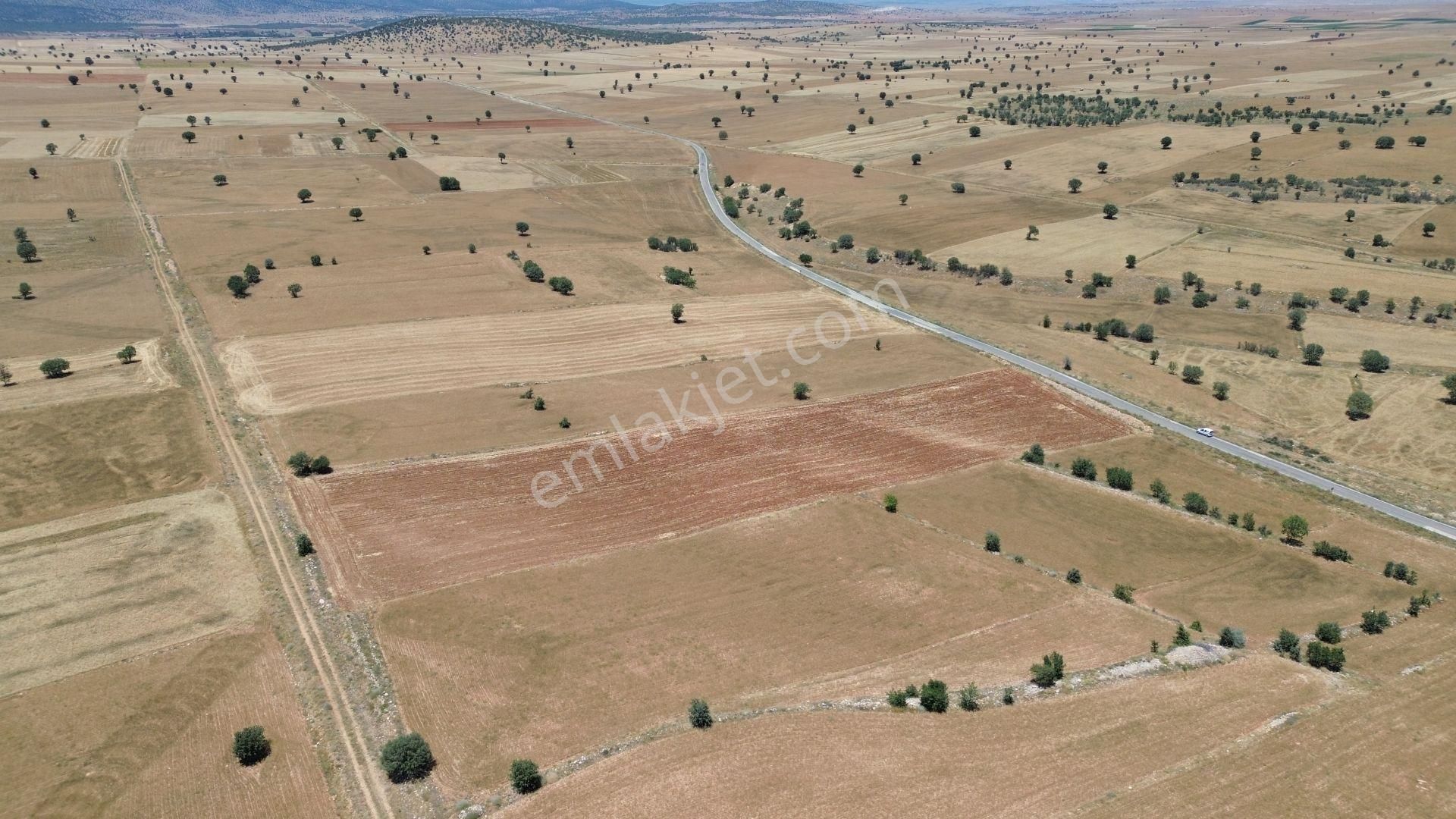 Çumra Apasaraycık Da 10.560 M2 Müstakil Tapulu Tarla - Görsel 2