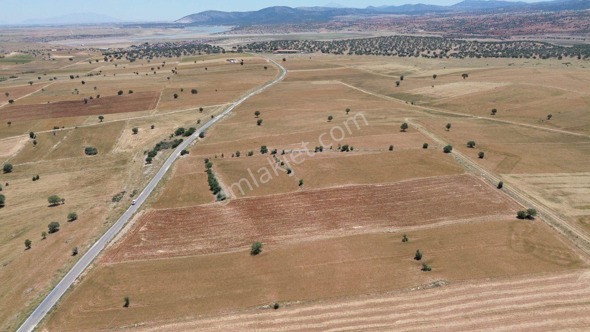 Çumra Apasaraycık Da 10.560 M2 Müstakil Tapulu Tarla - Görsel 7