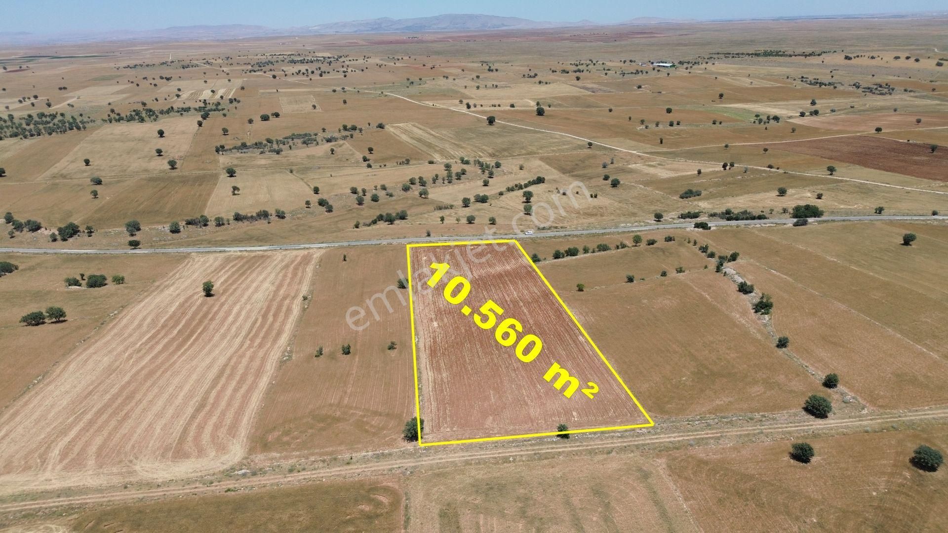 Çumra Apasaraycık Da 10.560 M2 Müstakil Tapulu Tarla - Görsel 4