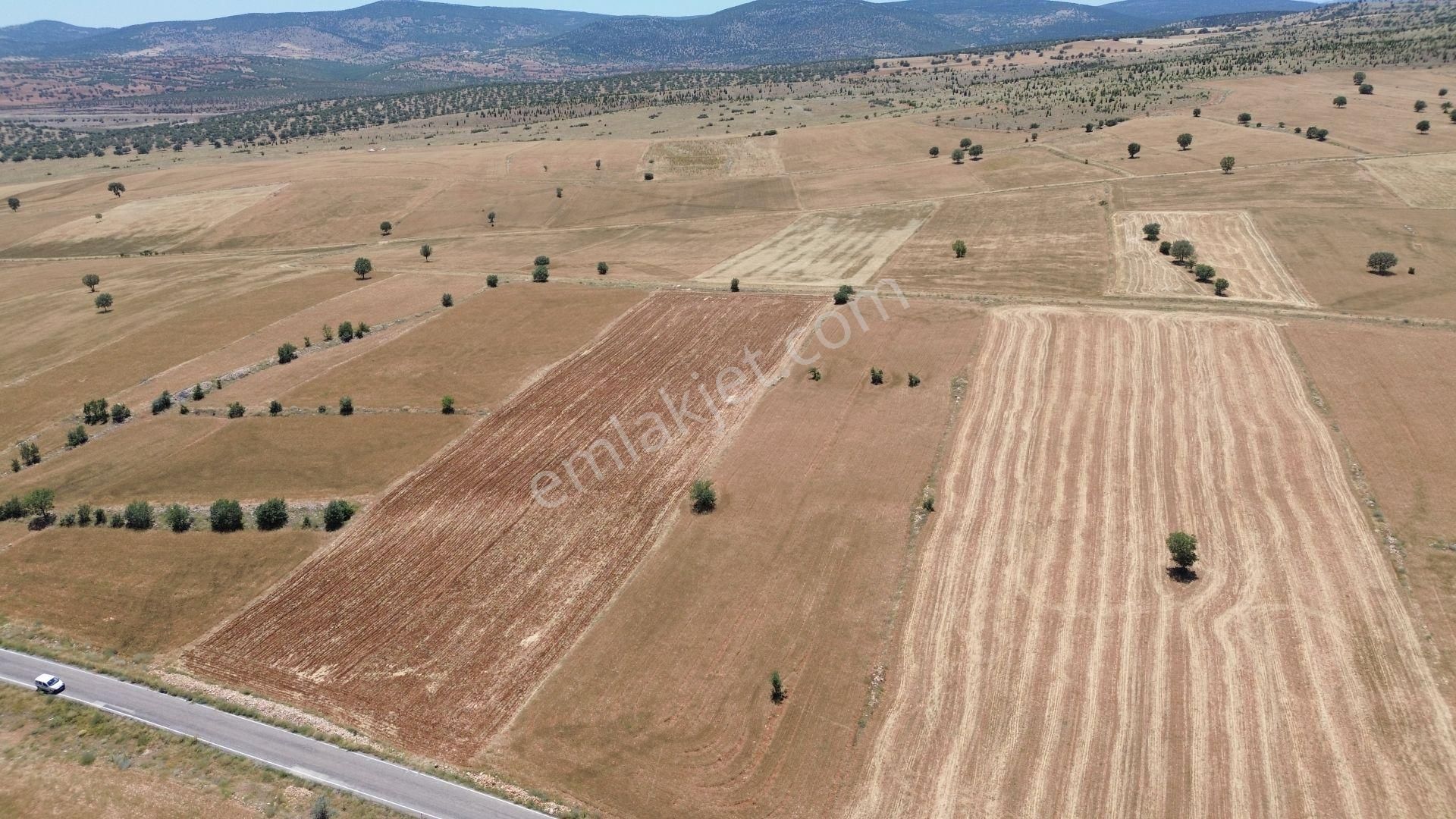 Çumra Apasaraycık Da 10.560 M2 Müstakil Tapulu Tarla - Görsel 10