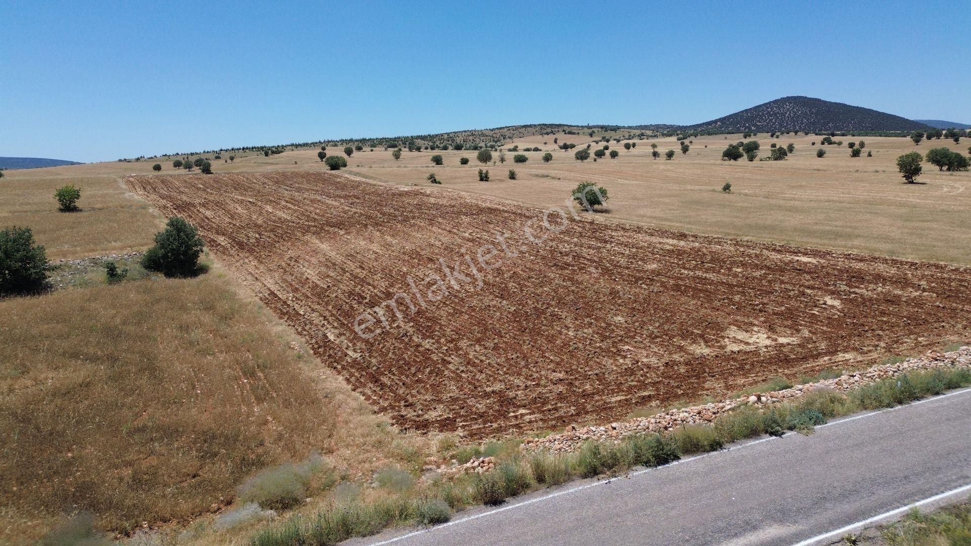Çumra Apasaraycık Da 10.560 M2 Müstakil Tapulu Tarla - Görsel 9
