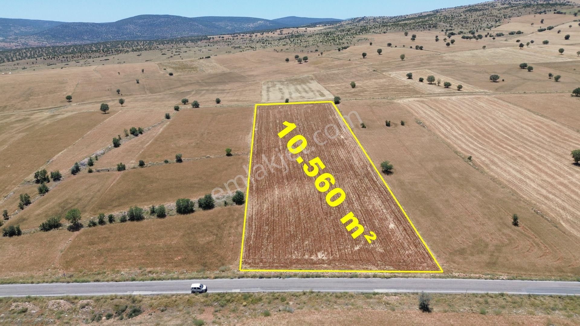 Çumra Apasaraycık Da 10.560 M2 Müstakil Tapulu Tarla - Görsel 11