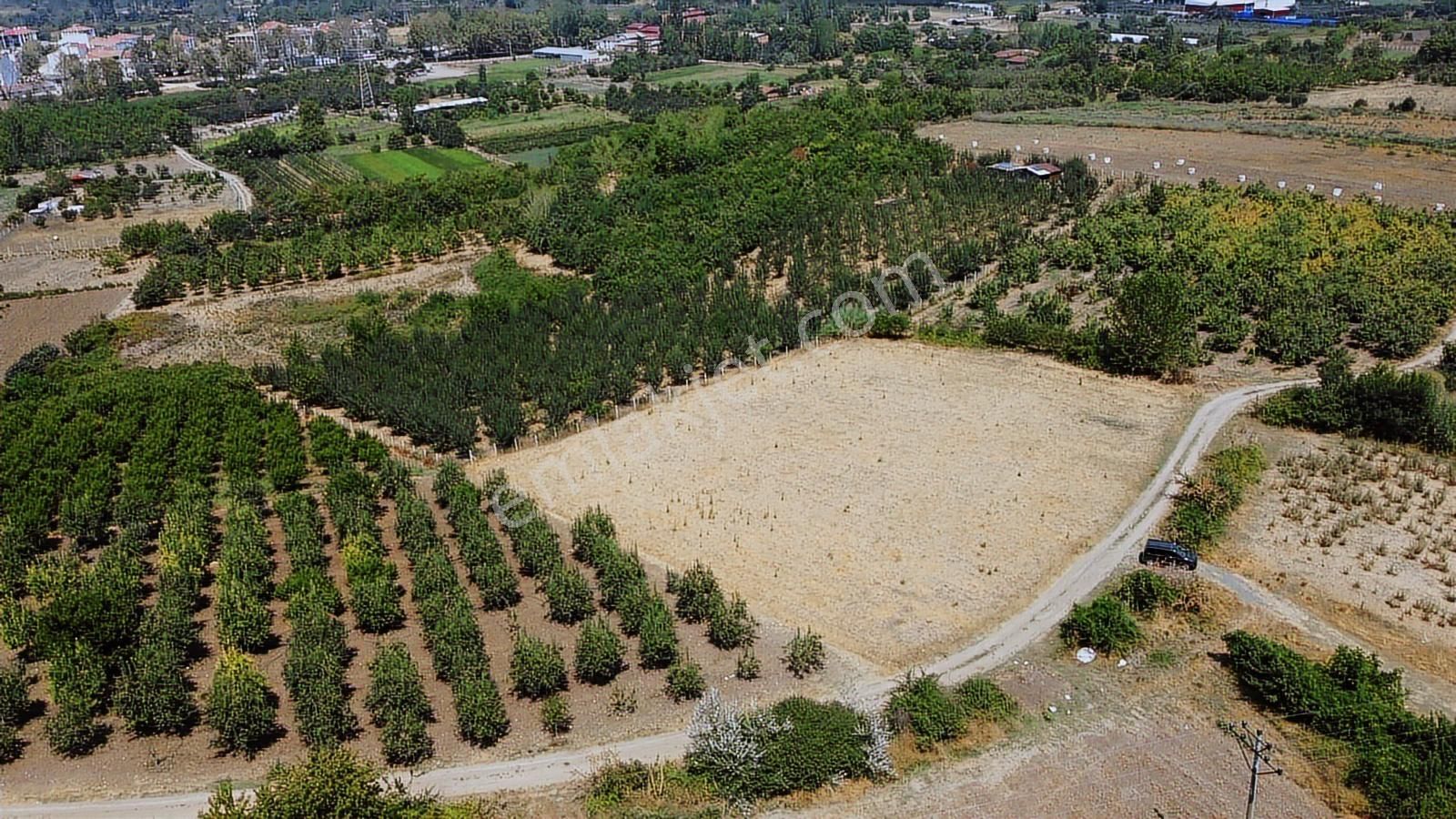 İnegöl Cerrah Mahallesin'de Harika Konumda Satılık Tarla - Görsel 3