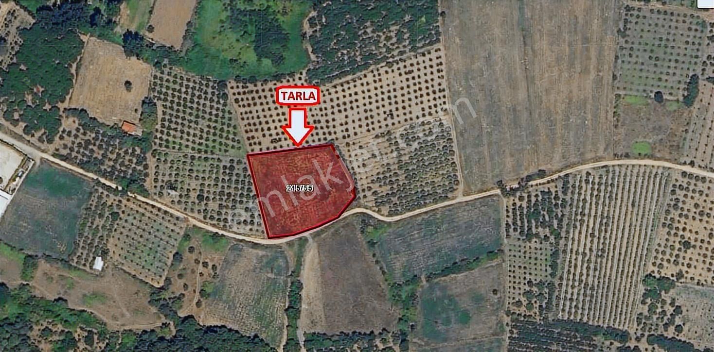 İnegöl Cerrah Mahallesin'de Harika Konumda Satılık Tarla - Görsel 13