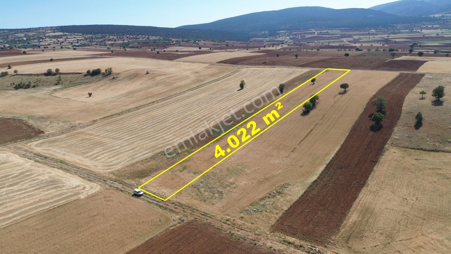 Konya / Akören / Alan Mahallesinde 4.022 M² Müstakil Tarla - Görsel 6