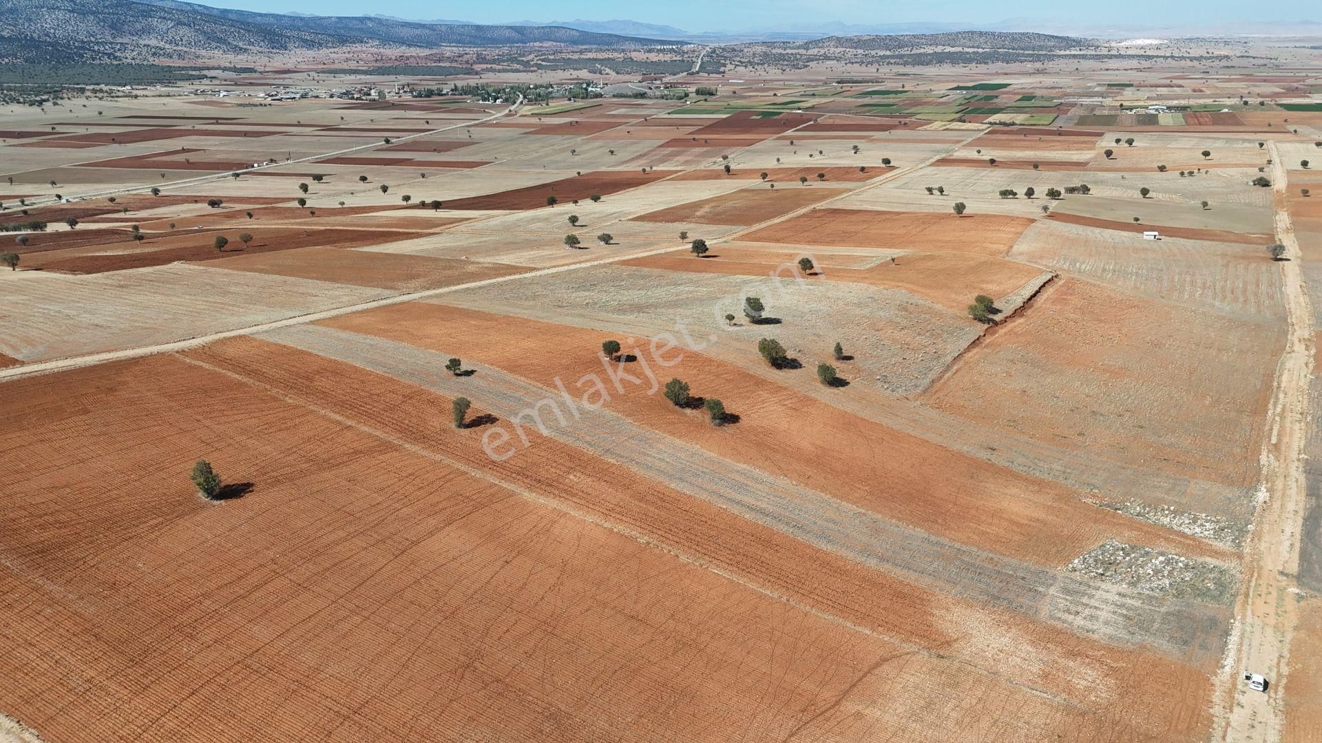 Konya / Akören / Alan Mahallesinde 4.022 M² Müstakil Tarla - Görsel 2