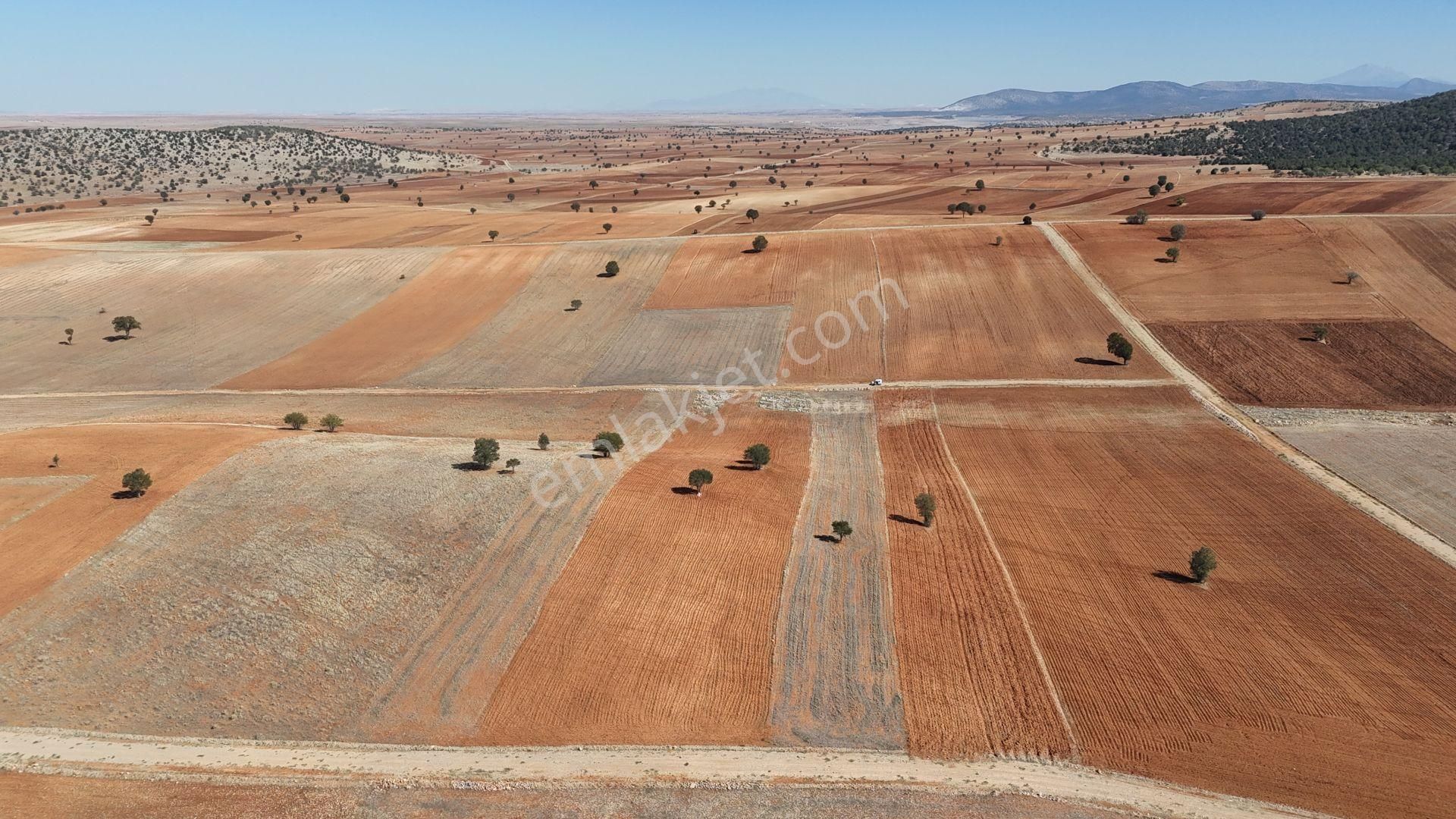 Konya / Akören / Alan Mahallesinde 4.022 M² Müstakil Tarla - Görsel 3