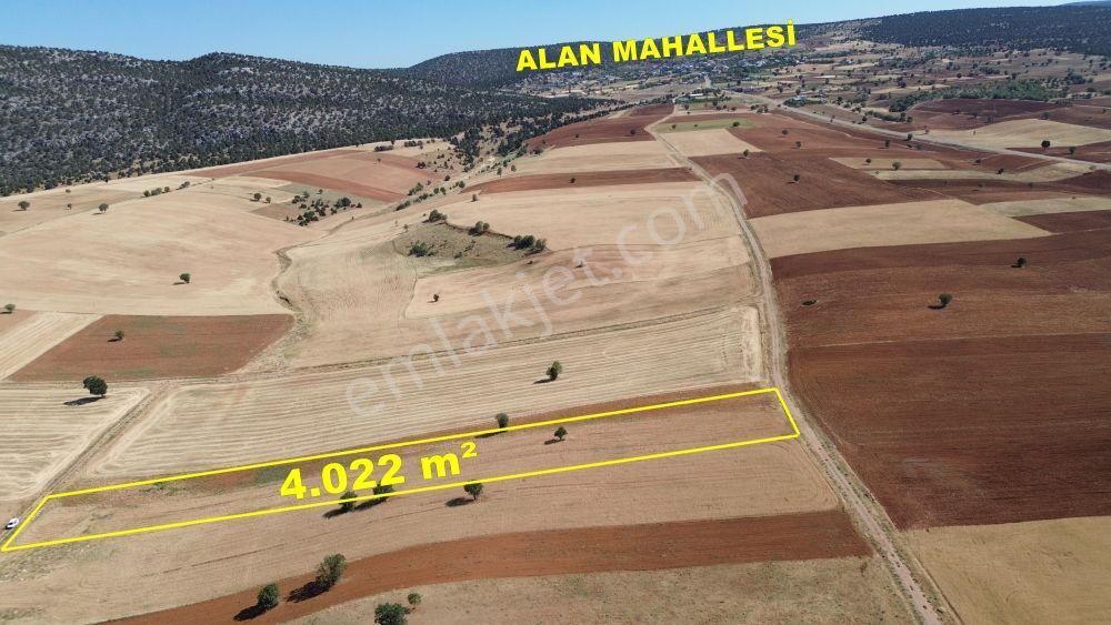 Konya / Akören / Alan Mahallesinde 4.022 M² Müstakil Tarla - Görsel 7