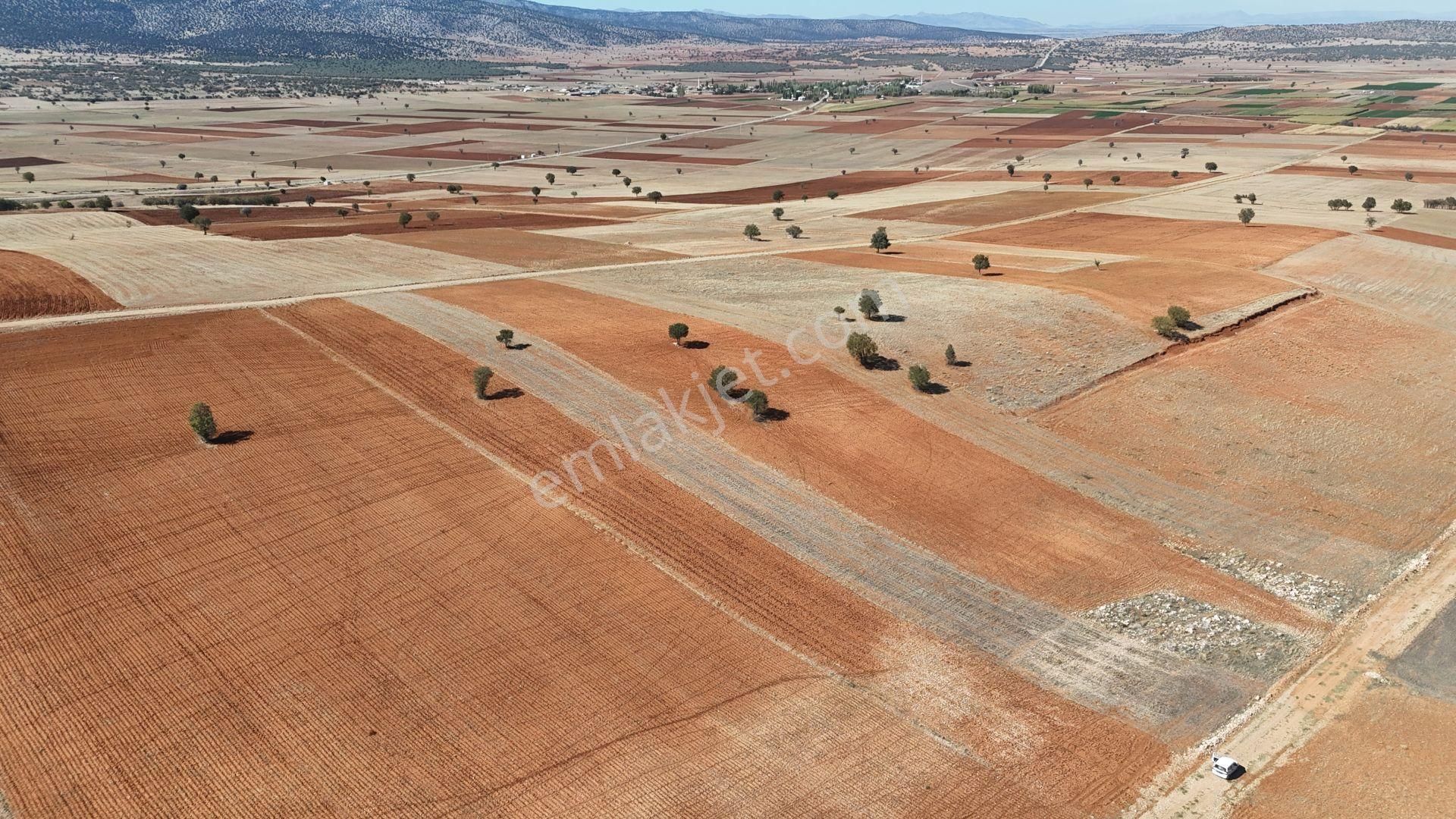 Konya / Akören / Alan Mahallesinde 4.022 M² Müstakil Tarla - Görsel 4