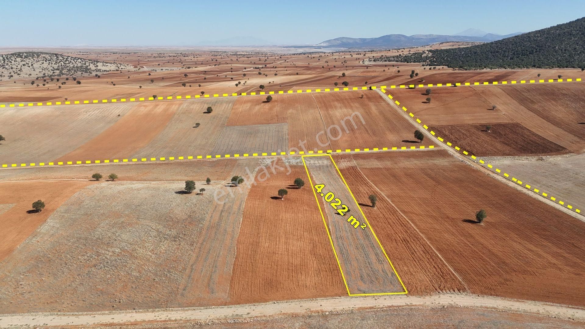 Konya / Akören / Alan Mahallesinde 4.022 M² Müstakil Tarla