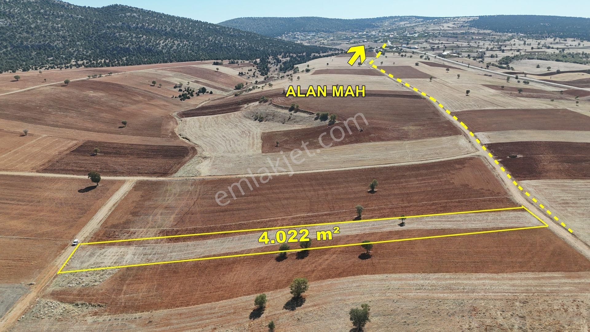 Konya / Akören / Alan Mahallesinde 4.022 M² Müstakil Tarla - Görsel 5
