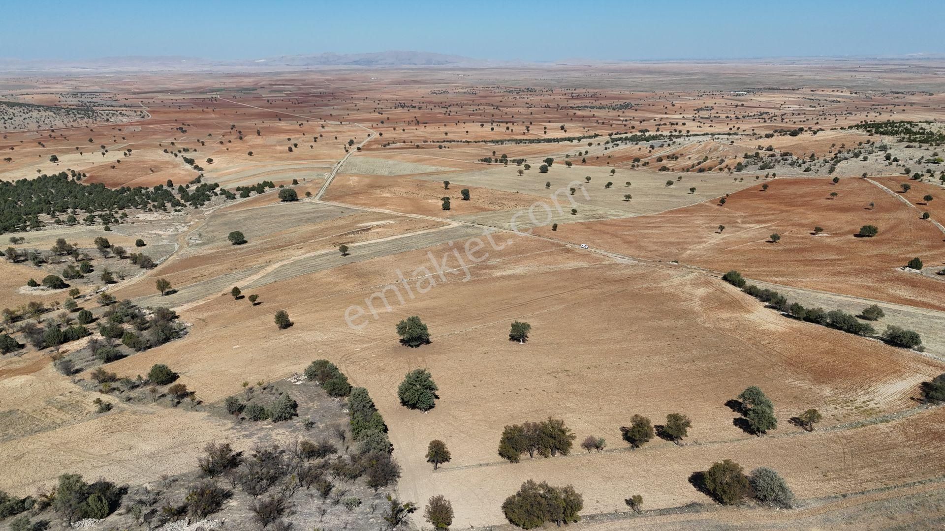 Konya / Akören / Alan Mahallesinde 7.509 M² Müstakil Tapulu Tarla - Görsel 9