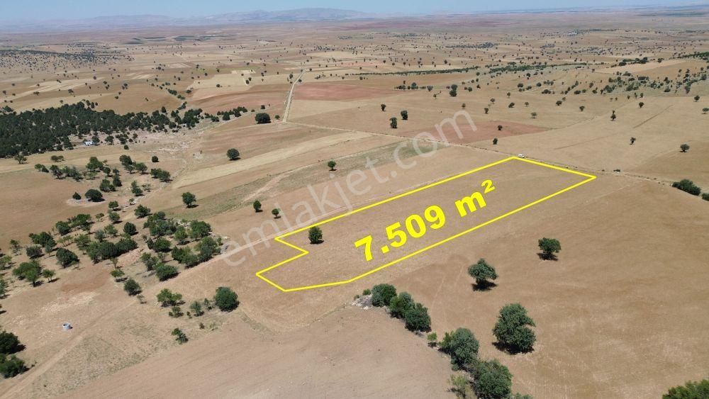Konya / Akören / Alan Mahallesinde 7.509 M² Müstakil Tapulu Tarla