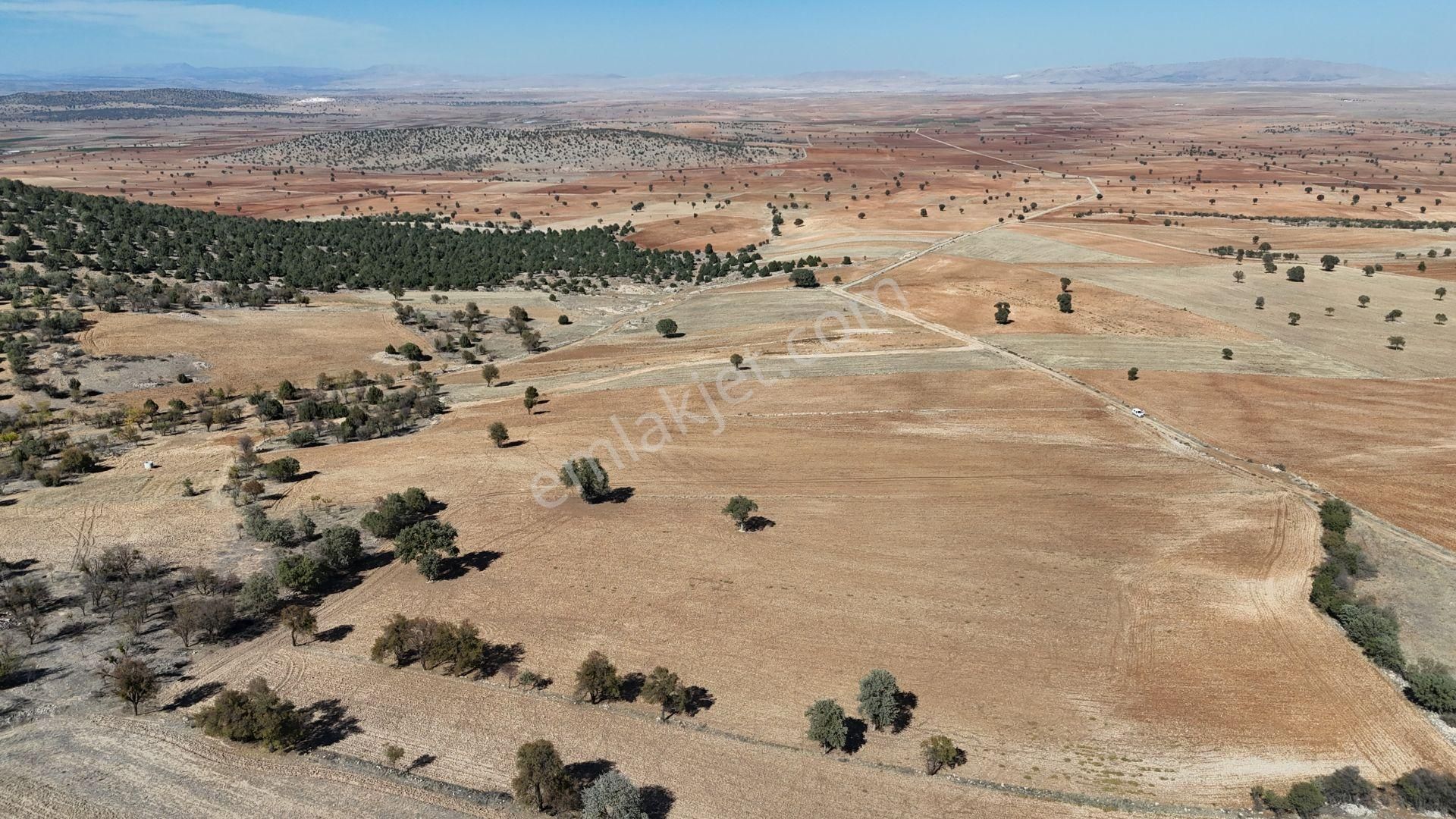 Konya / Akören / Alan Mahallesinde 7.509 M² Müstakil Tapulu Tarla - Görsel 5
