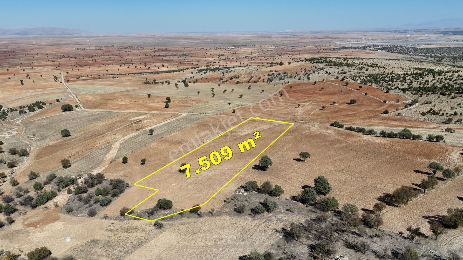 Konya / Akören / Alan Mahallesinde 7.509 M² Müstakil Tapulu Tarla - Görsel 4