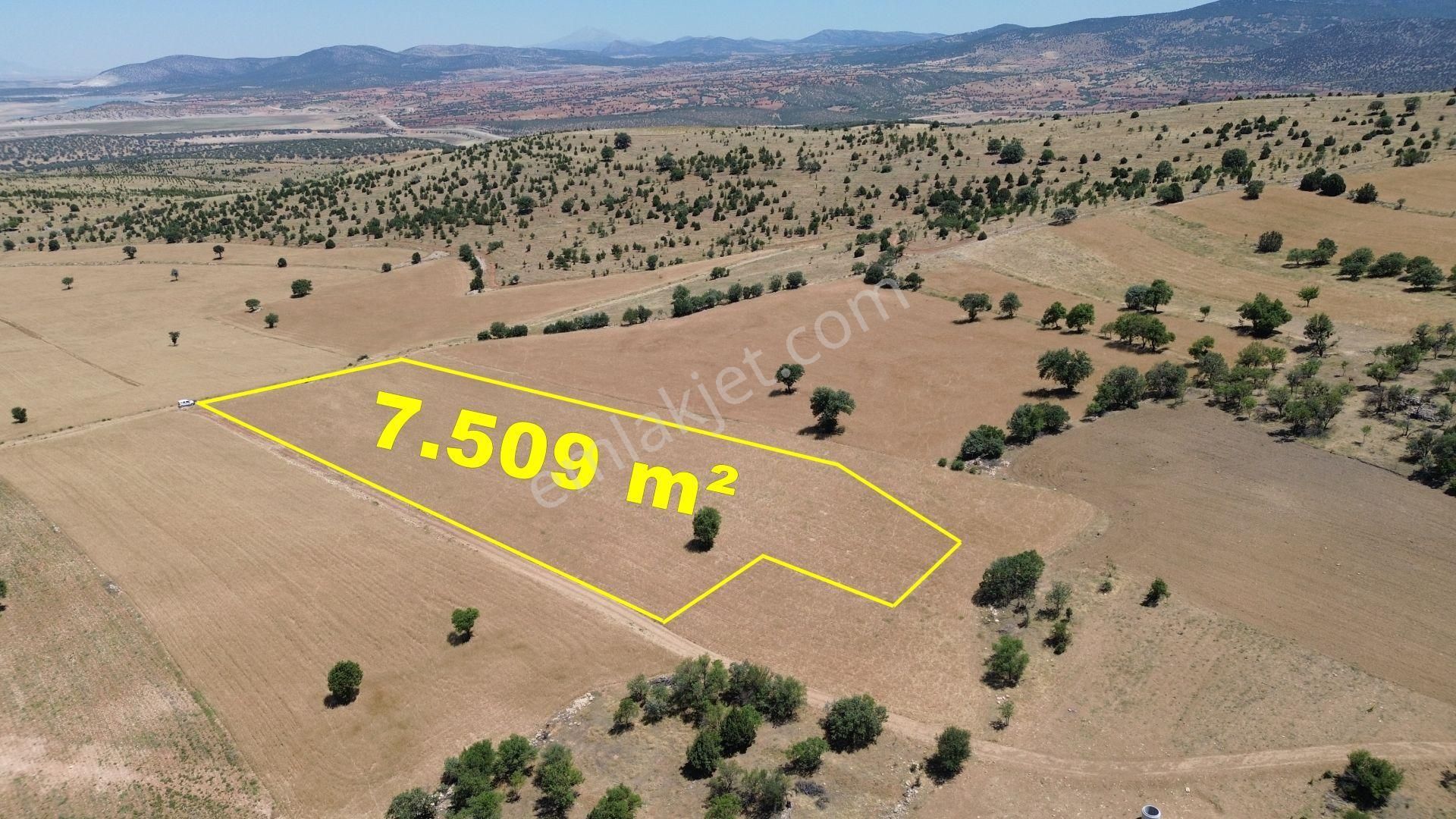 Konya / Akören / Alan Mahallesinde 7.509 M² Müstakil Tapulu Tarla - Görsel 3