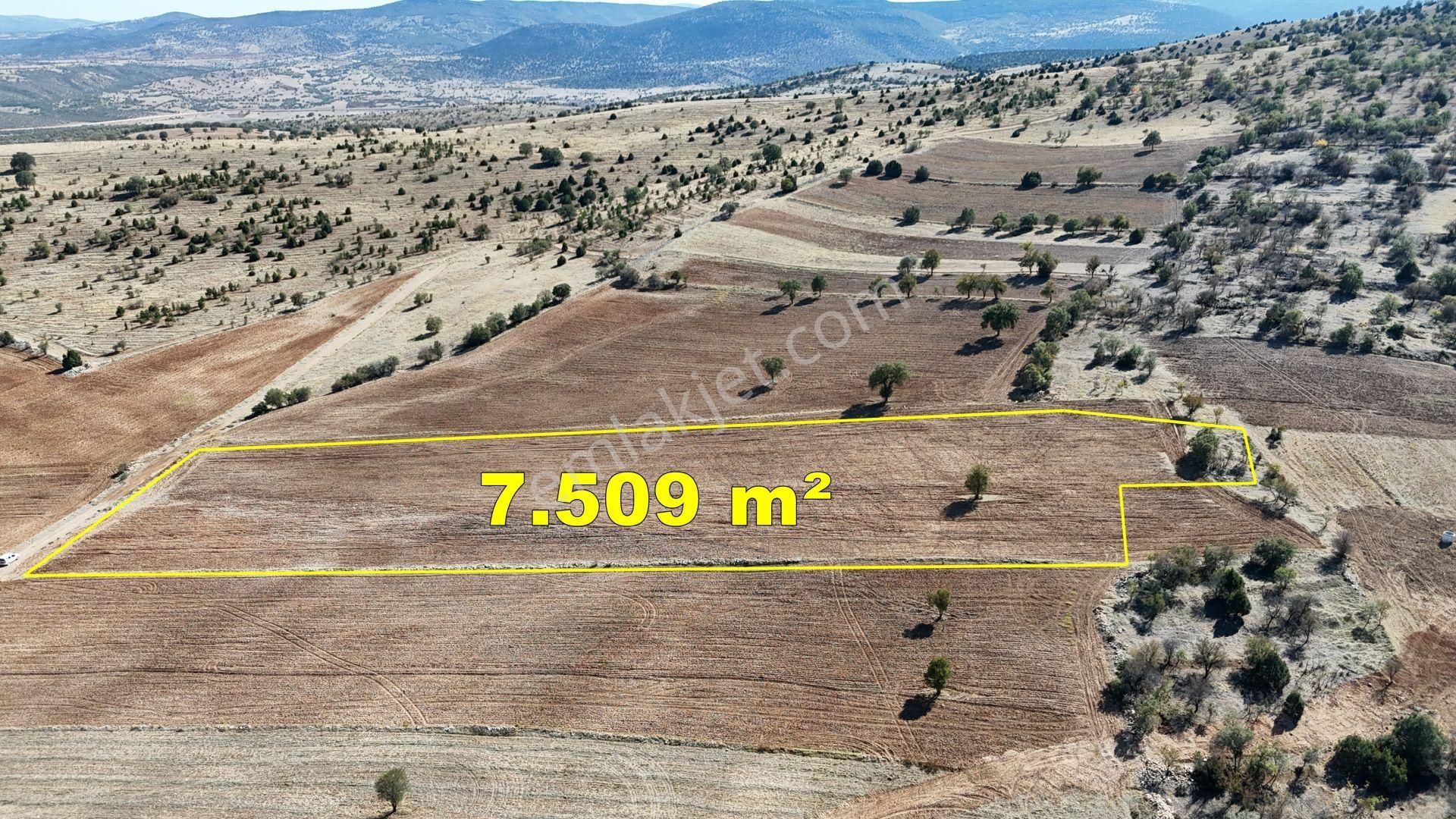 Konya / Akören / Alan Mahallesinde 7.509 M² Müstakil Tapulu Tarla - Görsel 7