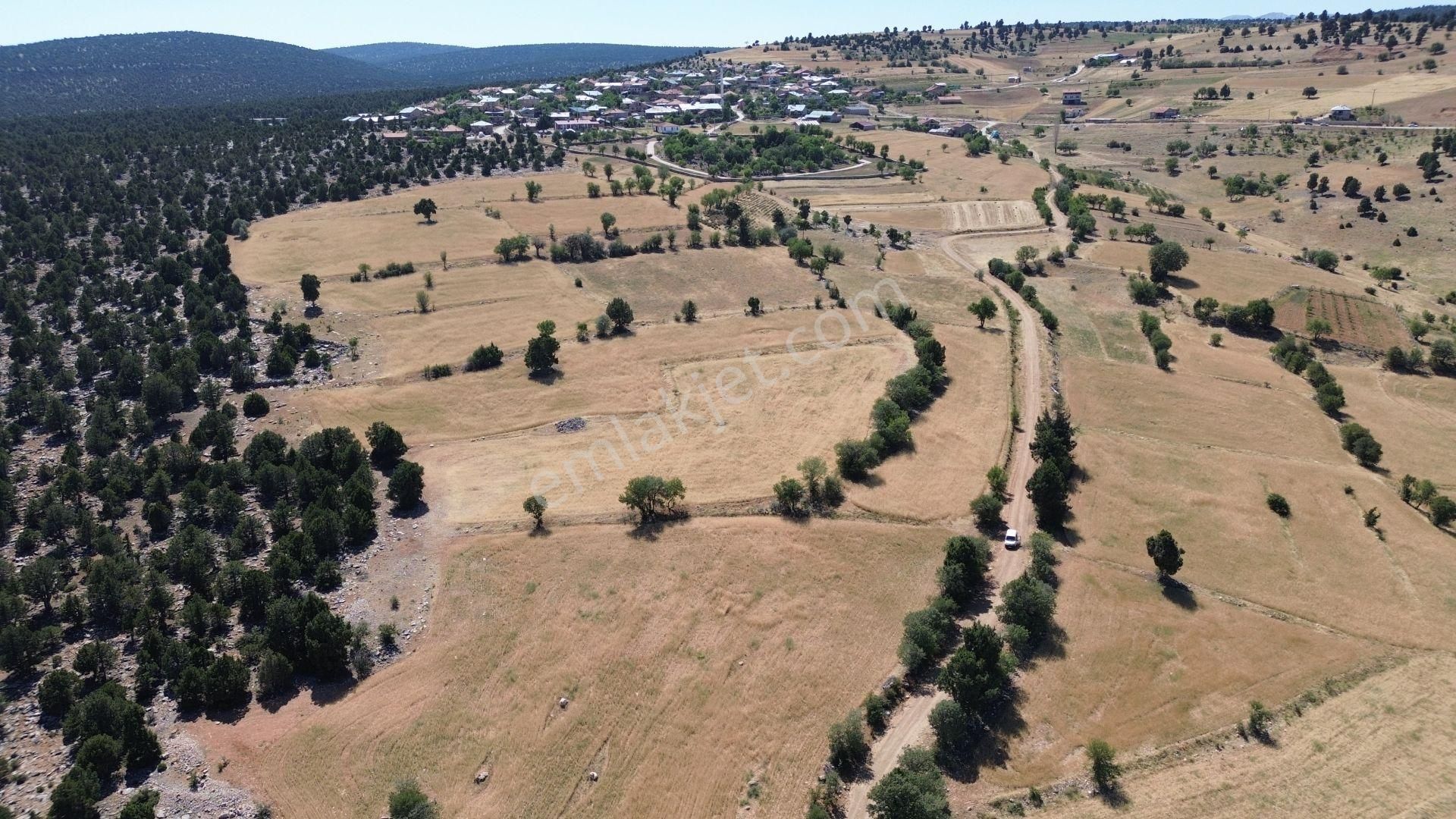 Konya / Akören / Belkuyu Mahallesinde 1.612 M² Müstakil Tapulu Tarla - Görsel 4