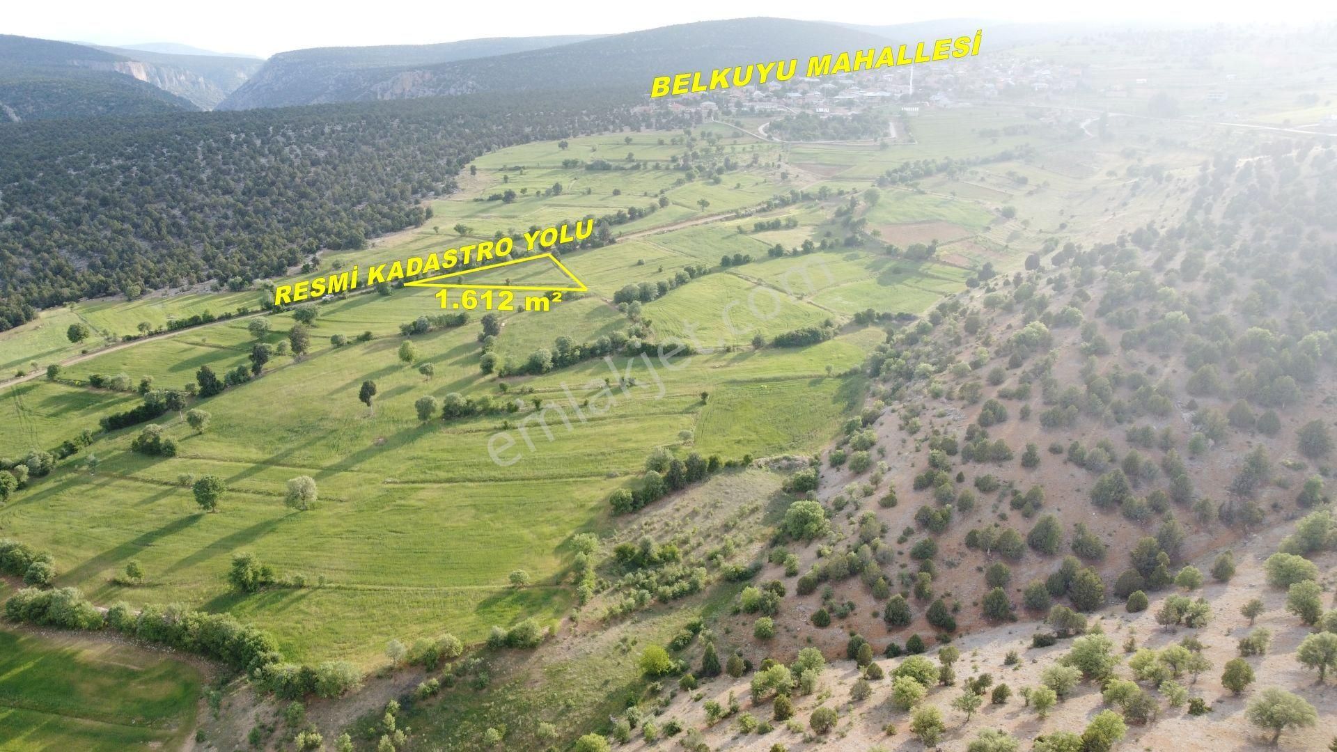Konya / Akören / Belkuyu Mahallesinde 1.612 M² Müstakil Tapulu Tarla - Görsel 6