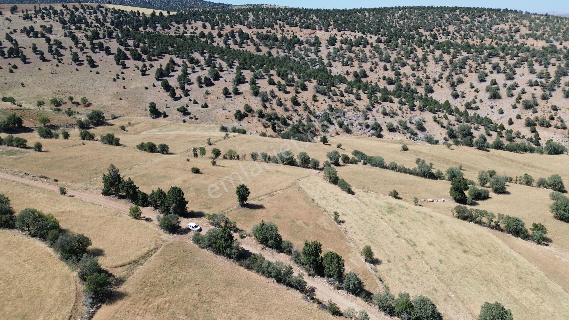 Konya / Akören / Belkuyu Mahallesinde 1.612 M² Müstakil Tapulu Tarla - Görsel 3