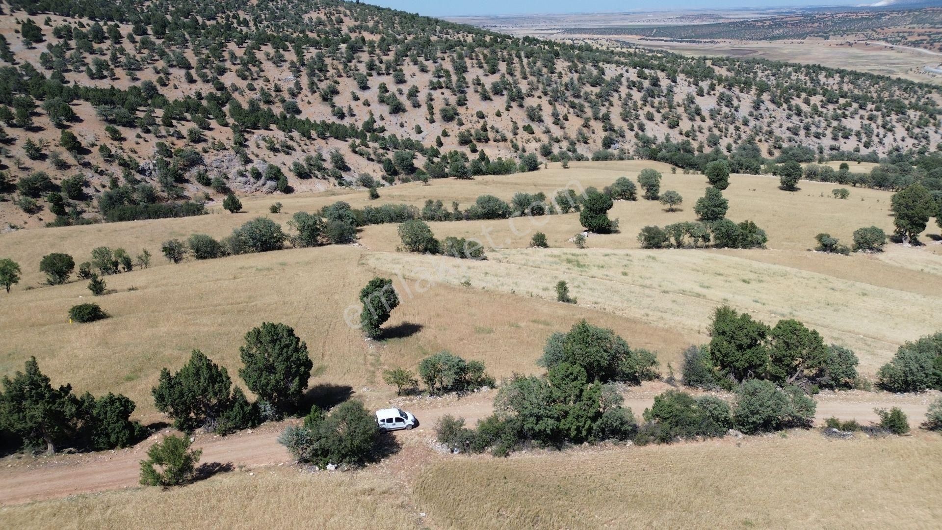 Konya / Akören / Belkuyu Mahallesinde 1.612 M² Müstakil Tapulu Tarla - Görsel 2