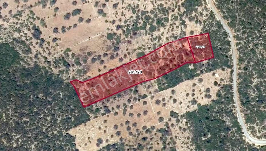 Bodrum Yalıçiftlikte Deniz Manzaralı 9650 M2 Satılık Arazi - Görsel 3