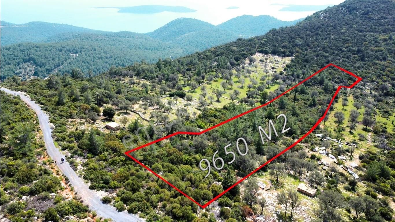 Bodrum Yalıçiftlikte Deniz Manzaralı 9650 M2 Satılık Arazi - Görsel 2