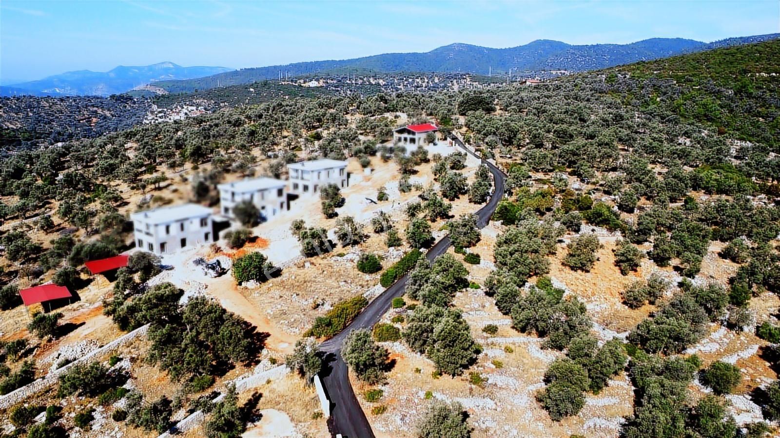 Bodrum Çilek Köyü Satılık Fırsat Kooperatif Hissesi - Görsel 5