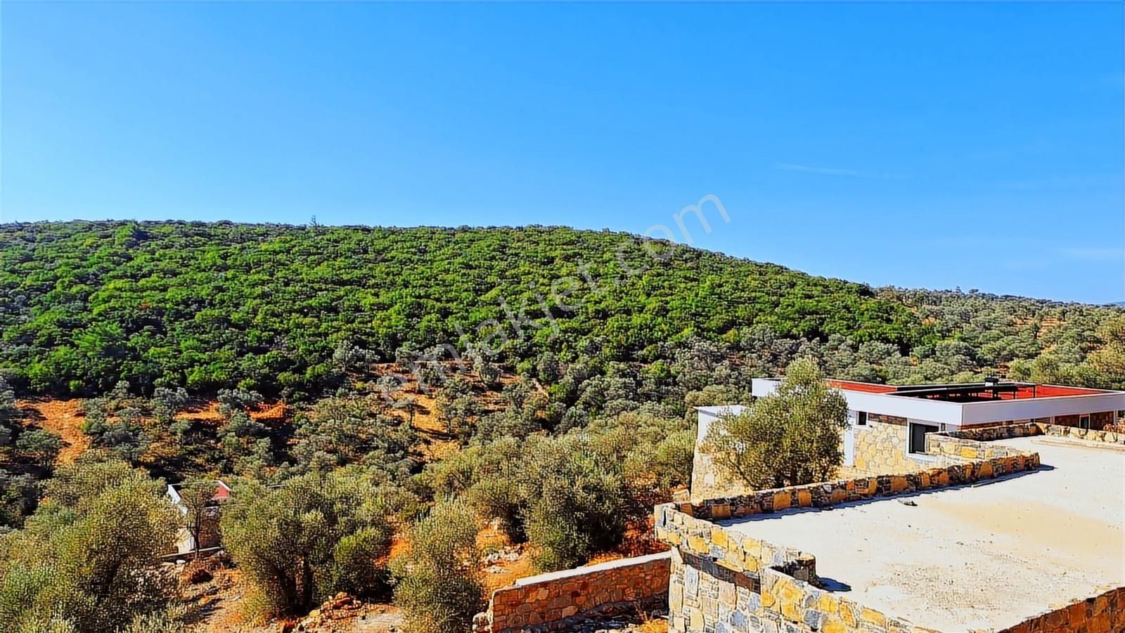 Bodrum Çilek Köyü Satılık Fırsat Kooperatif Hissesi - Görsel 4