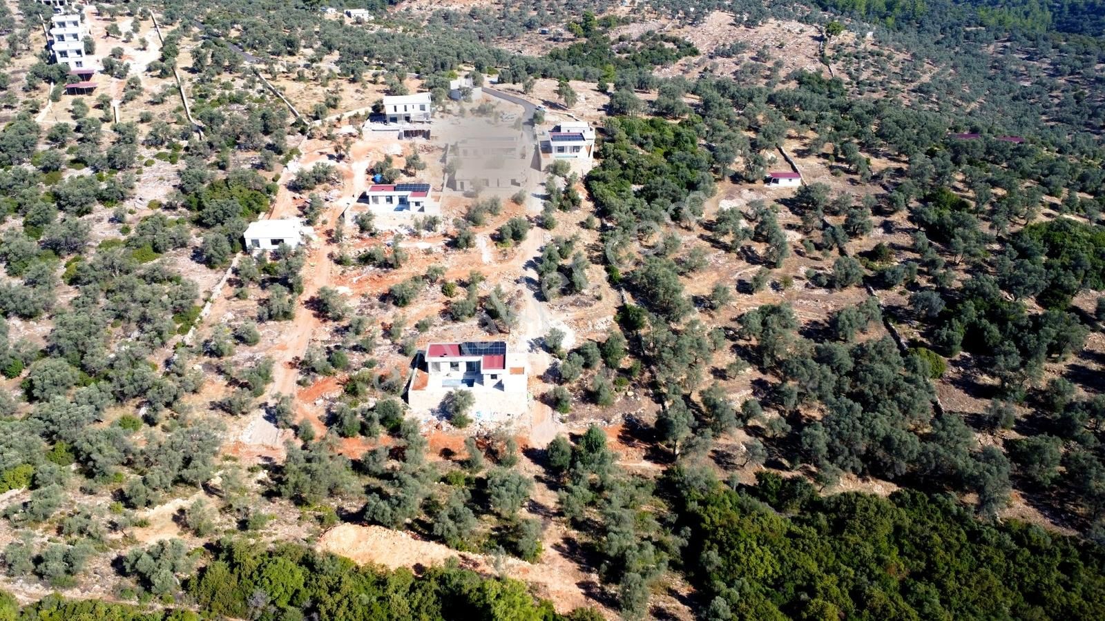 Bodrum Çilek Köyü Satılık Fırsat Kooperatif Hissesi
