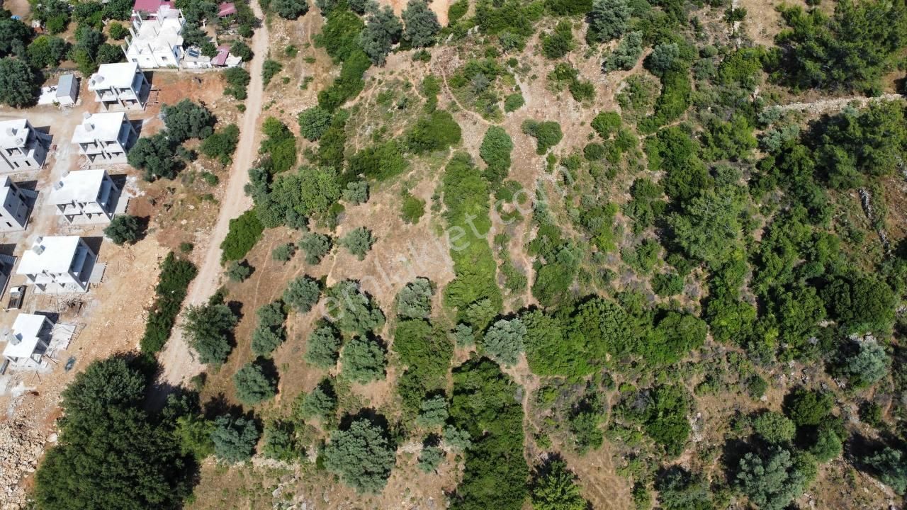 Bodrum Yalıçiftlik Satılık 1100 M2 İmarlı Arsa - Görsel 2