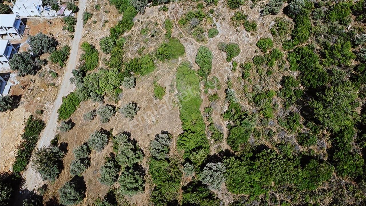 Bodrum Yalıçiftlik Satılık 1100 M2 İmarlı Arsa - Görsel 6