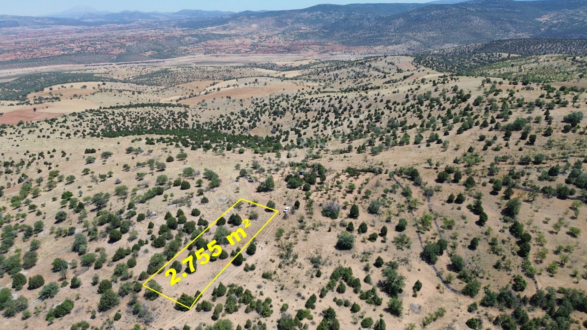 Konya / Akören / Alan Mahallesinde 2.755 M² Müstakil Tapulu Tarla - Görsel 6