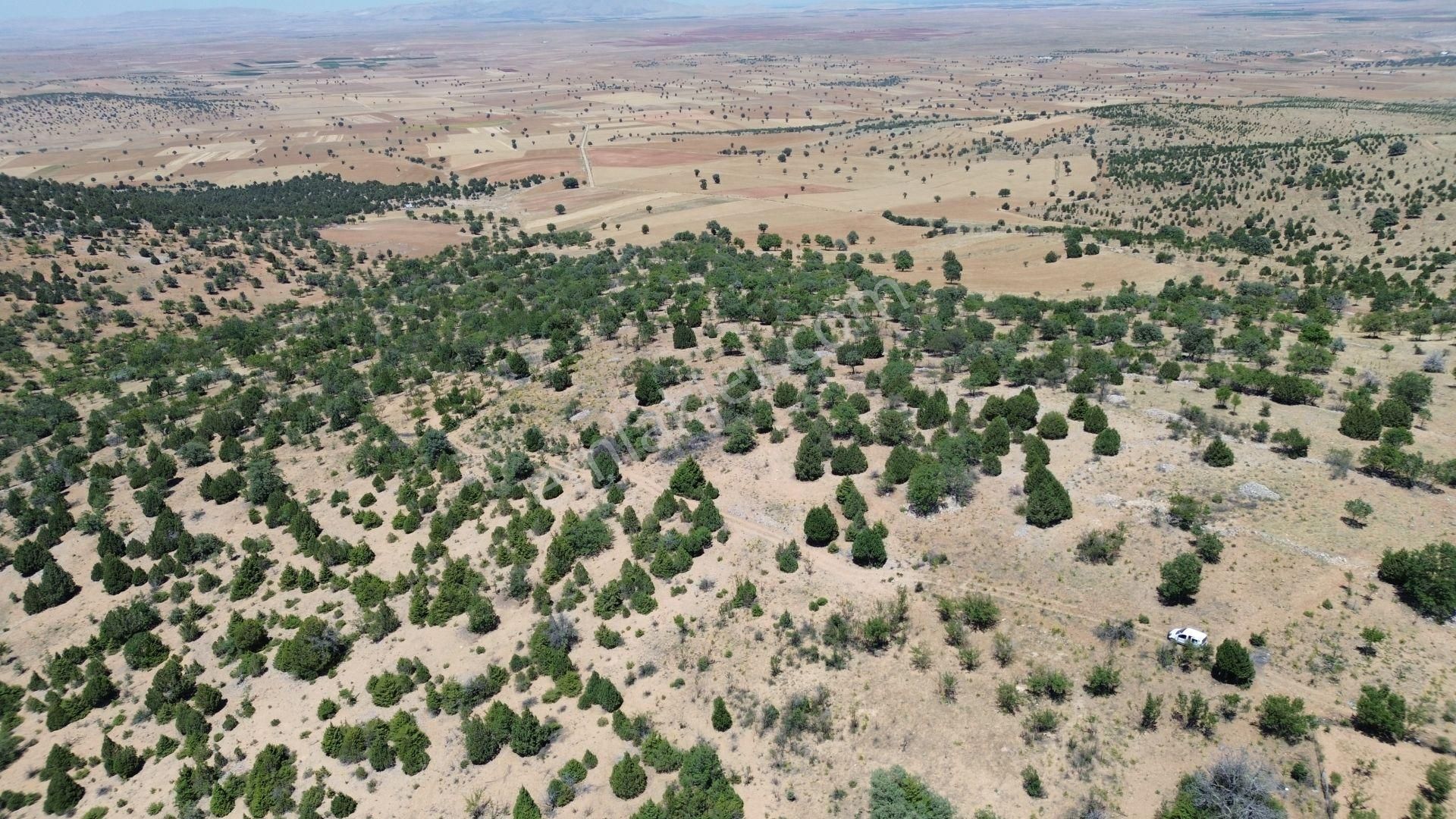 Konya / Akören / Alan Mahallesinde 2.755 M² Müstakil Tapulu Tarla - Görsel 5